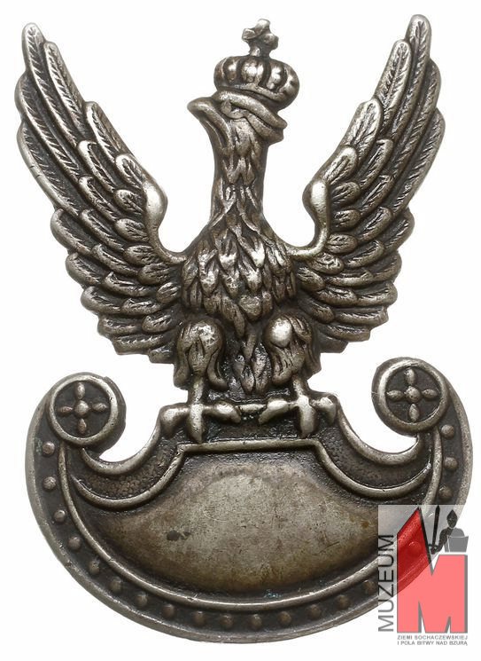 Orzeł-wojskowy-wz-1919-noszony-przez-Cichociemnego-Alfreda-Paczkowskiego-Wanię.jpg